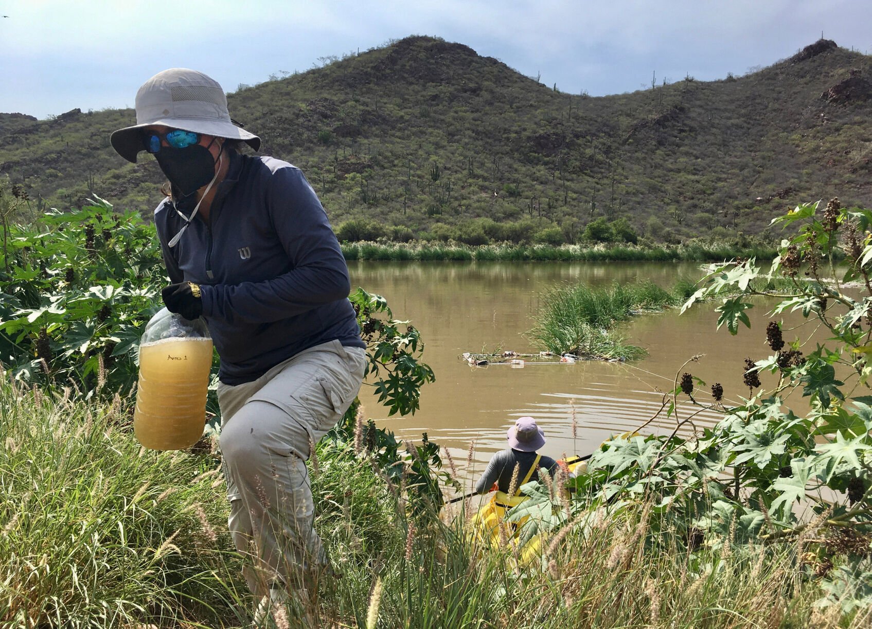 Floating Wetlands Tackle One Aspect Of Complex Sonoran Sewage Crisis