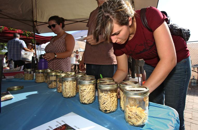 Mesquite bean pod tasting samples