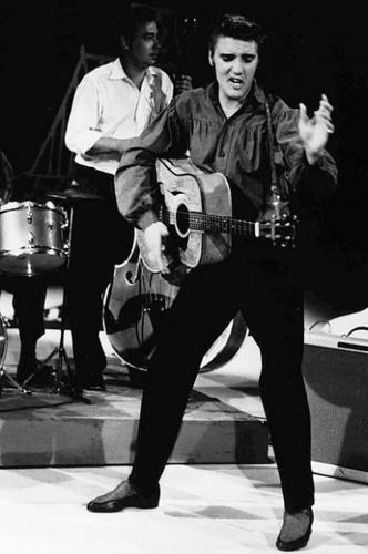 Bonnie Henry: Love tendered in Elvis visit by the king when Elvis a real teddy bear  