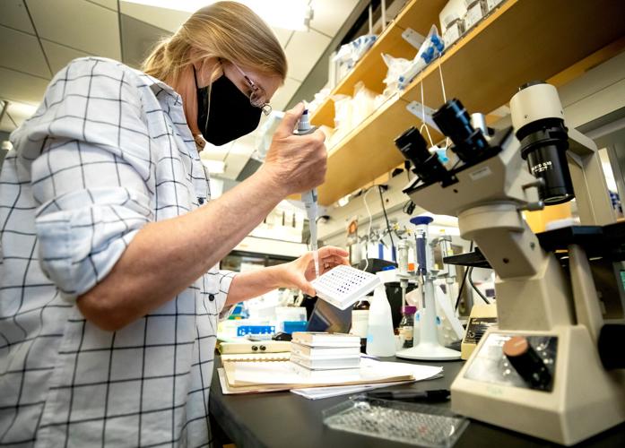 Tucson startup Reglagene wins funding for drug development Business