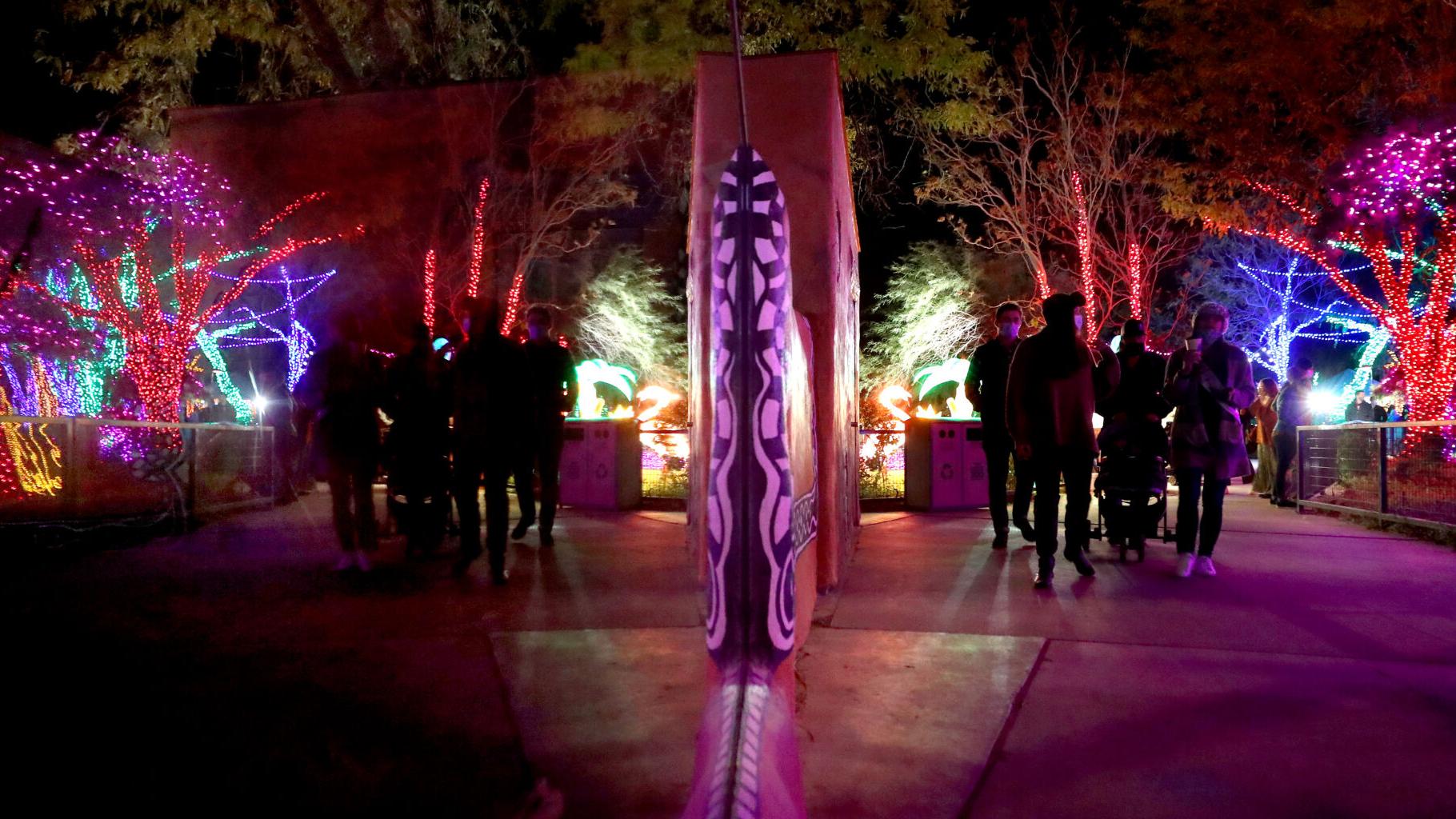 30 things to do this weekend at home, from your car or outside in Tucson, Dec. 16-20 - Vimarsana News