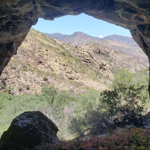 Our First Time Spring Seeking in Sierra San Diego