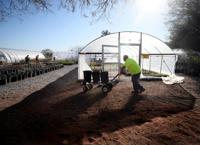 Desert Survivors Native Plant Nursery (copy)