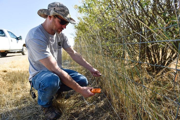 electric fencing around a county-run solid waste disposal