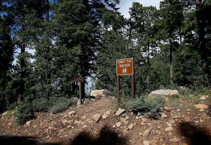 Frye Fire recovery on Mt. Graham