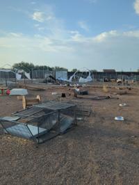 Marana petting zoo still looking for kangaroo, other animals after storm