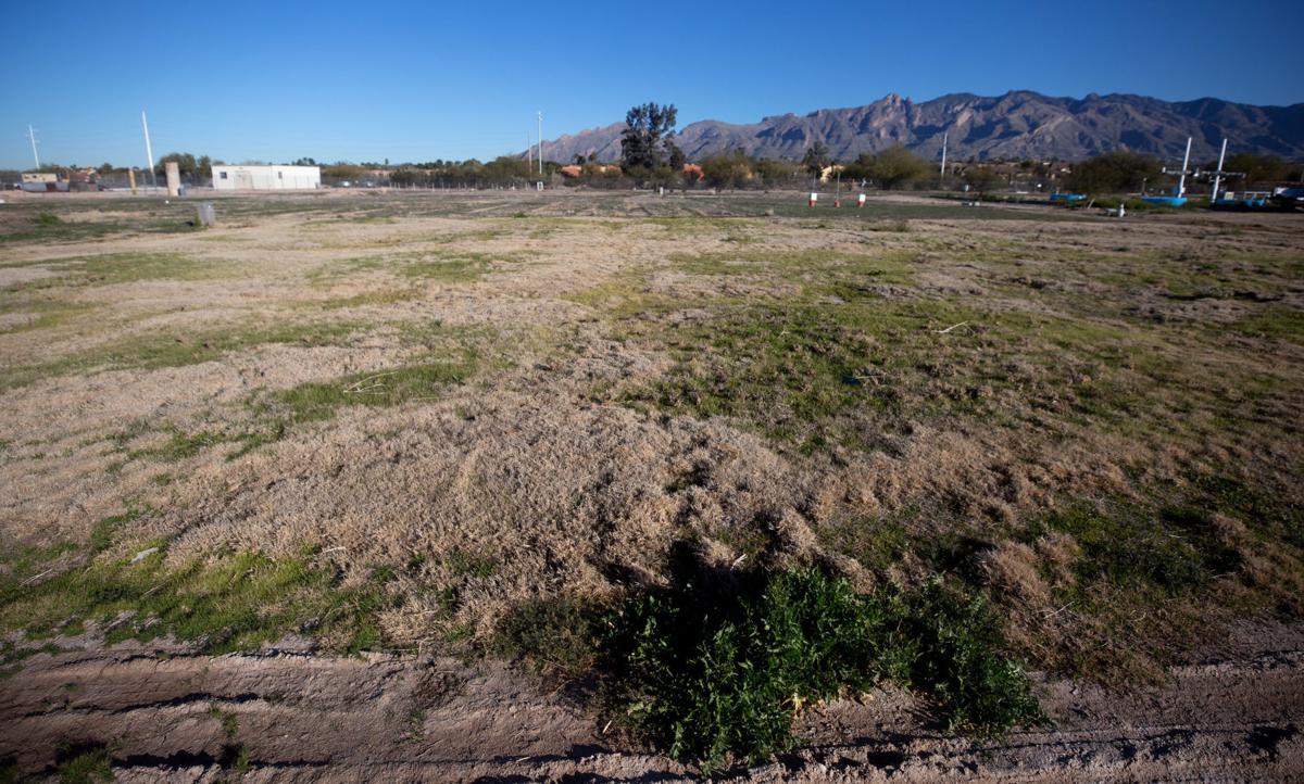 Tucson Village Farm Celebrates 10th Anniversary Moves To New Digs Local News Tucson Com