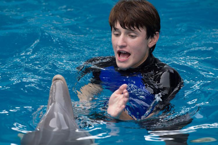 'Dolphin Tale 2'
