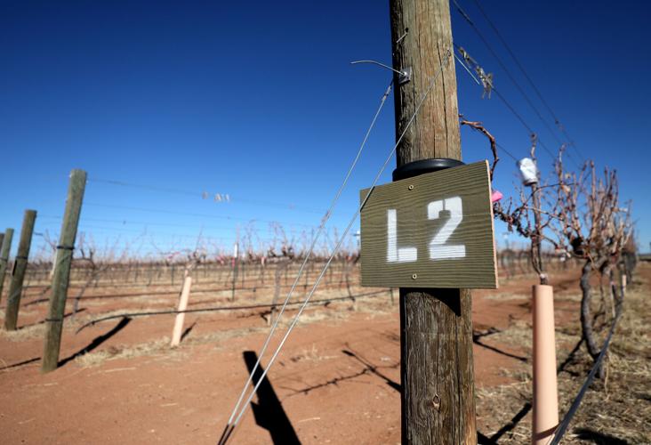 High Lonesome Vineyards