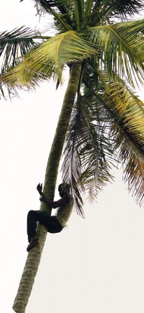 Life's good on 'de Rock'  