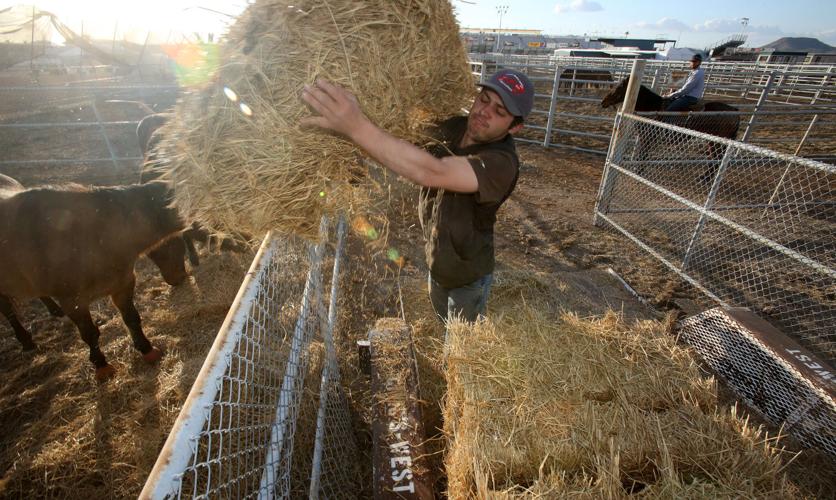 92nd La Fiesta de los Vaqueros