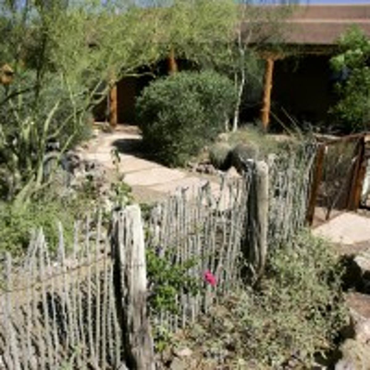 Xeriscaped Wonderland Tucson Gardens, Garden Gate Landscaping Tucson Az