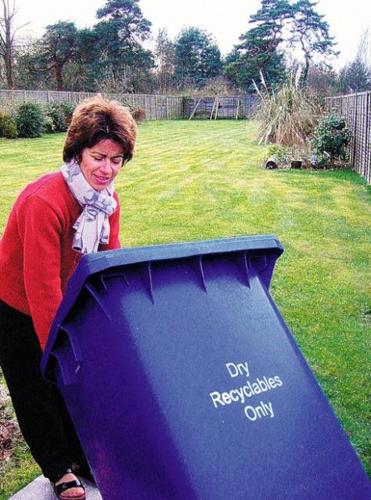 Garbage 'bugs' bugging Brits  