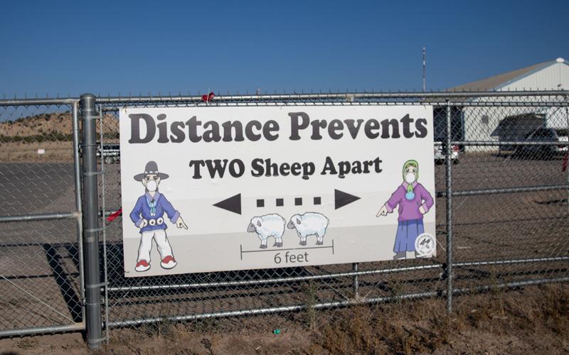 A Navajo school district and its students fight to overcome amid COVID-19