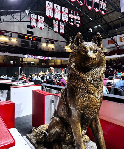 Goodbye Matthews Arena