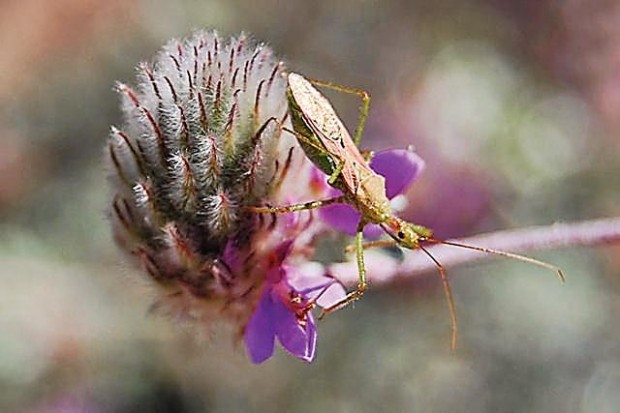 'Anywhere I go, I bring my camera'  