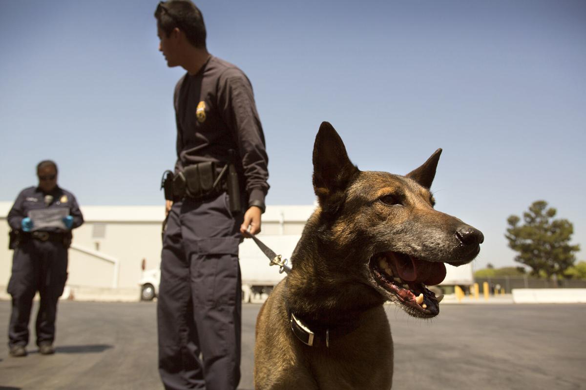 U.S. Customs and Border Protection