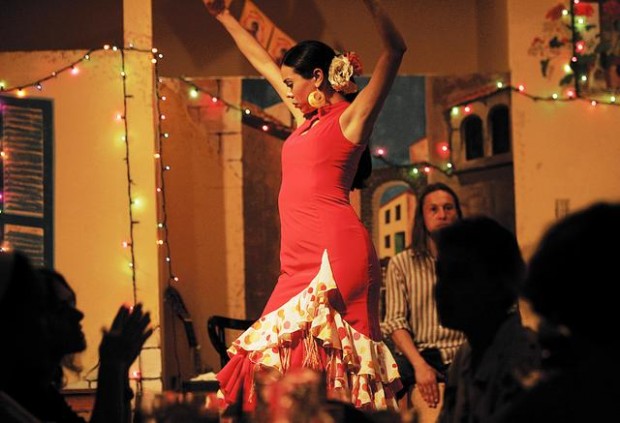 Flamenco fever  