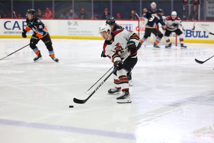 Tucson Roadrunners vs. San Diego Gulls