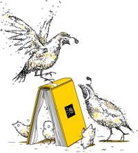 Download Tucson Festival of Books app