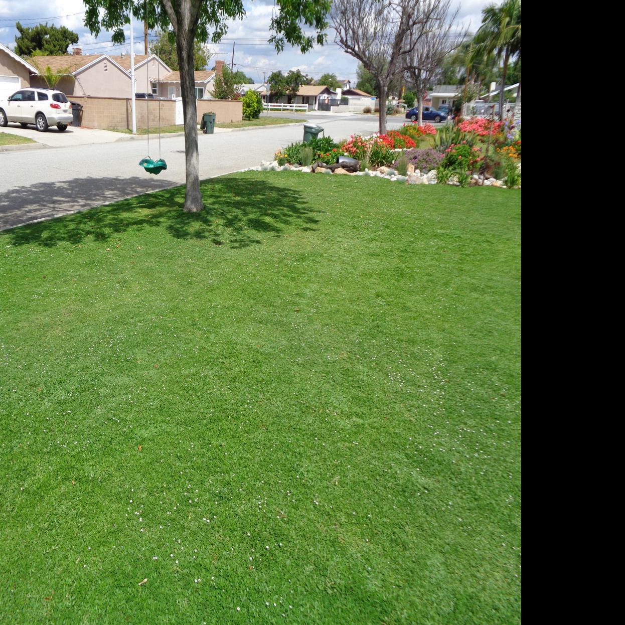 These Grass Lawn Options Work Well In Arizona S Climate Home