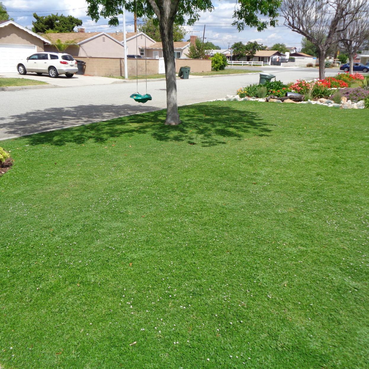 These Grass Lawn Options Work Well In Arizona S Climate Home