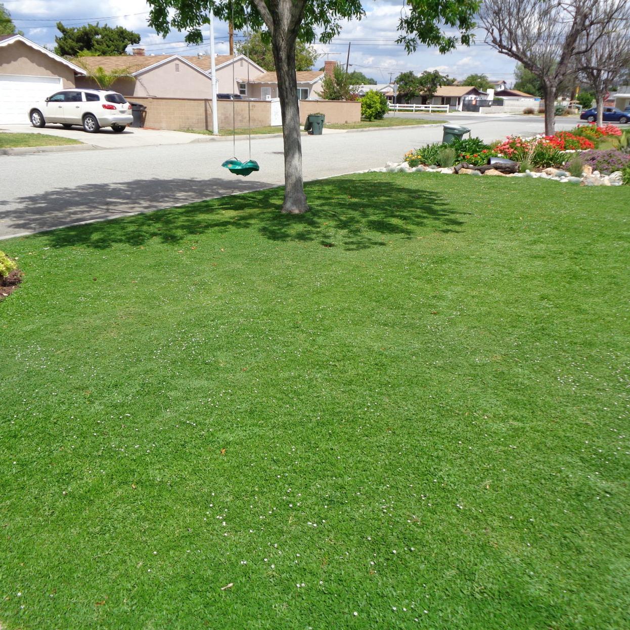 These Grass Lawn Options Work Well In, What Do Landscapers In The Winter Time