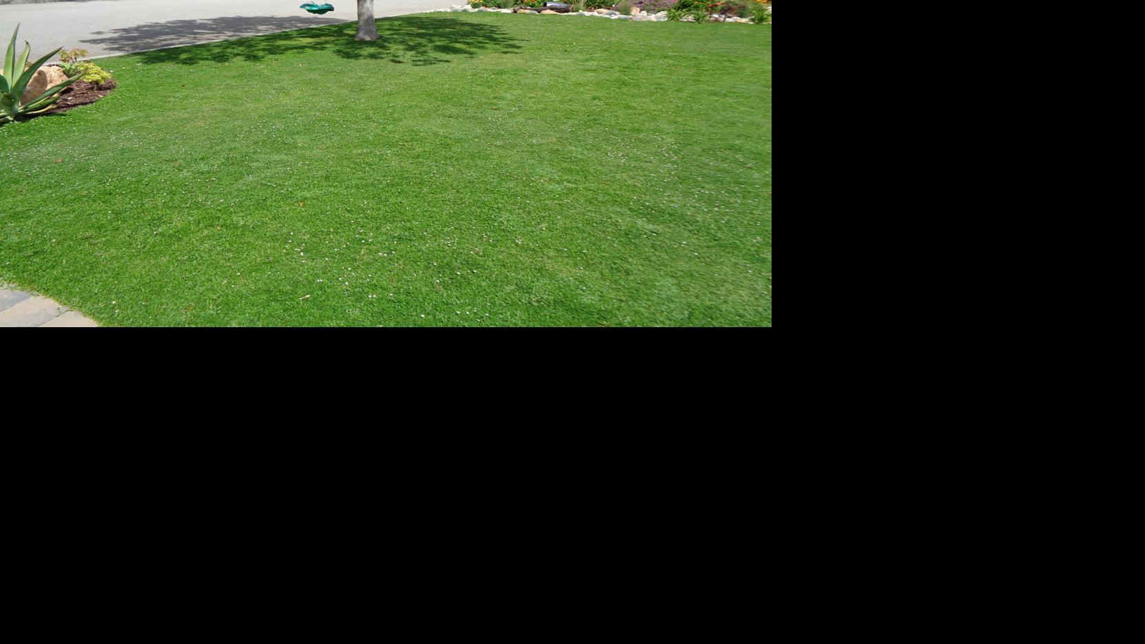 These Grass Lawn Options Work Well In Arizona S Climate Home Garden Tucson Com