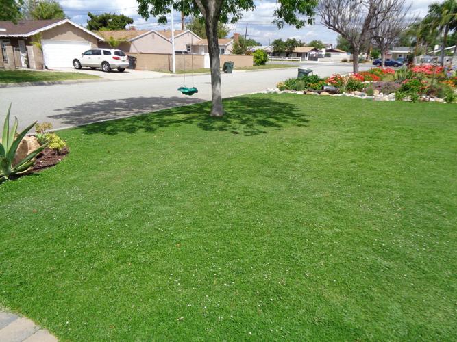 These Grass Lawn Options Work Well In, How To Landscape Yard Without Grass In Texas Holdem