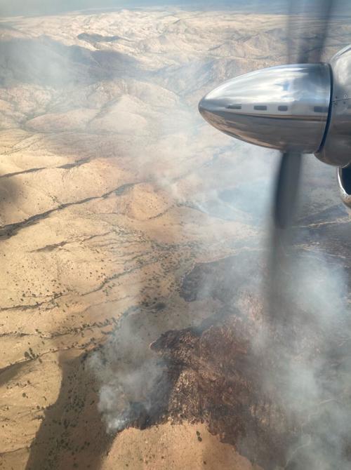 An arial view of the Homestead wildfire near Safford.