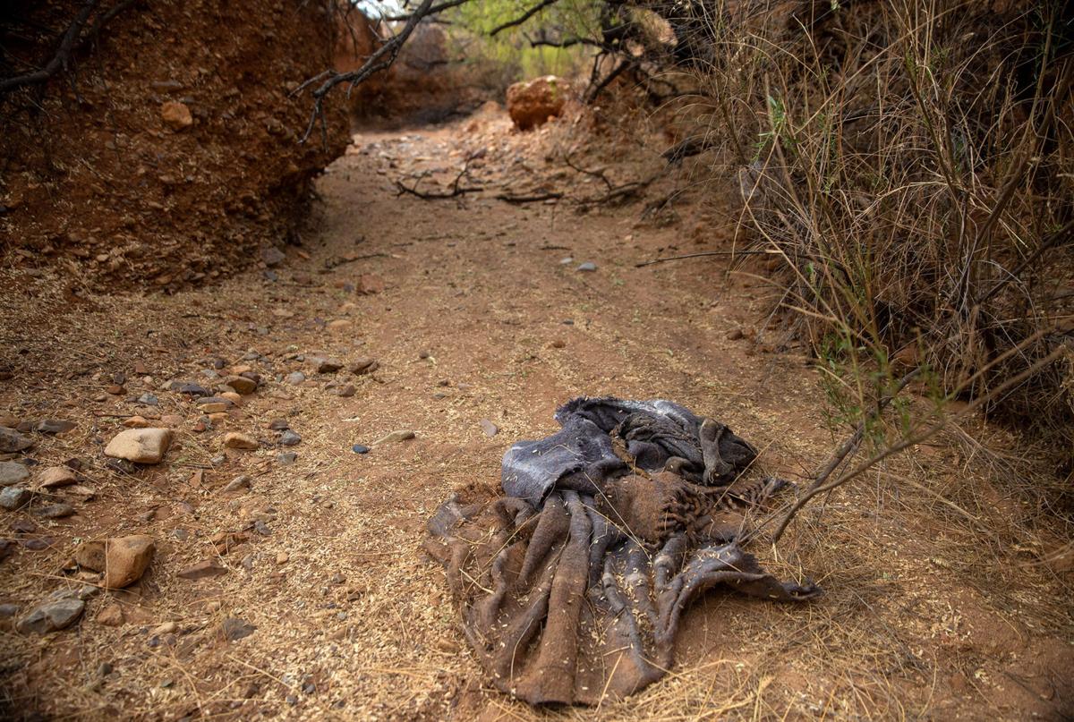 Muertes en el desierto