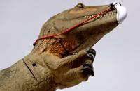 Face masks on objects