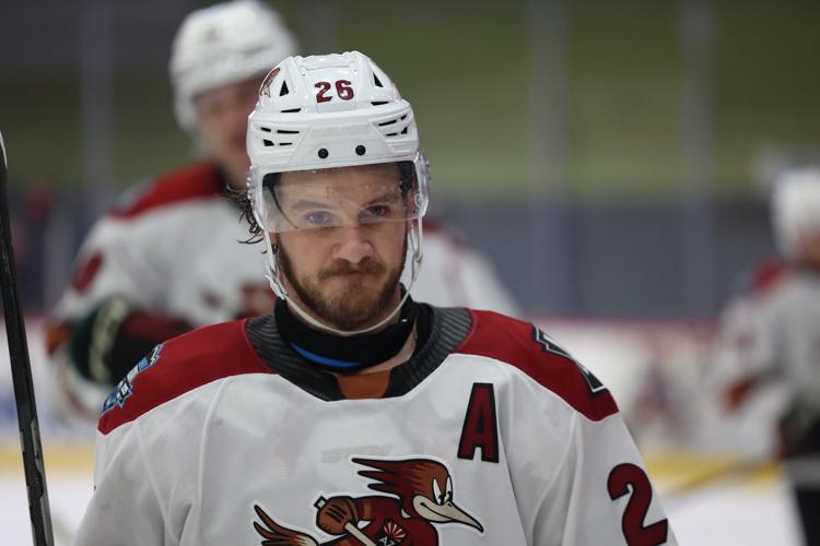 Tucson Roadrunners neck guards