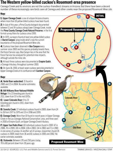 CuckooRosemont locater map
