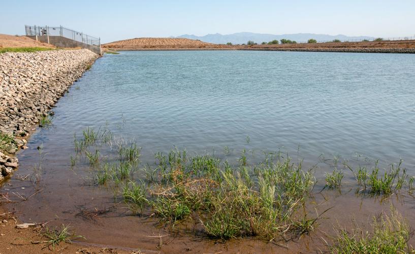 Central Arizona Project recharge basin