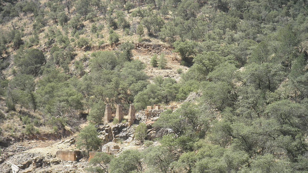 Profitable World's Fair Mine a real gem    