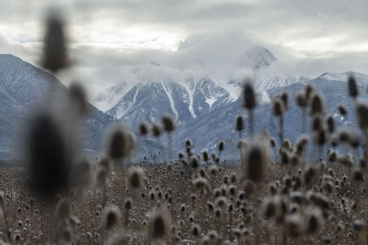 Buddy Cheff Ranch 12