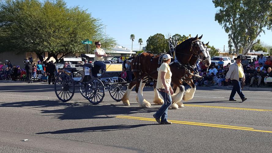 2017 Tucson Rodeo Parade entries