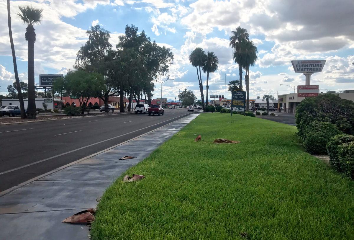 Tucson bans turf for some new developments