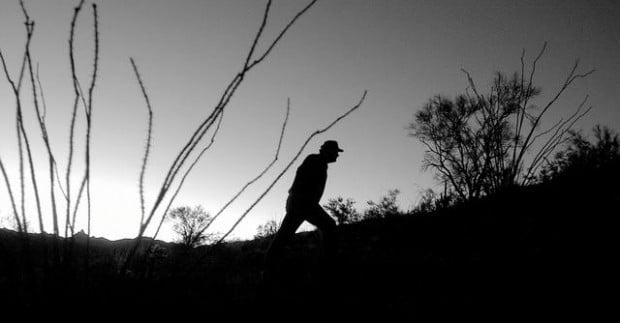 Sonoran pronghorns: A run along the abyss  