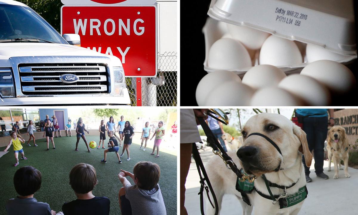 Hundreds of new Arizona laws take effect Friday