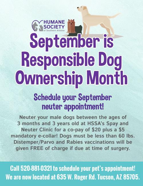 Responsible Dog Ownership Month