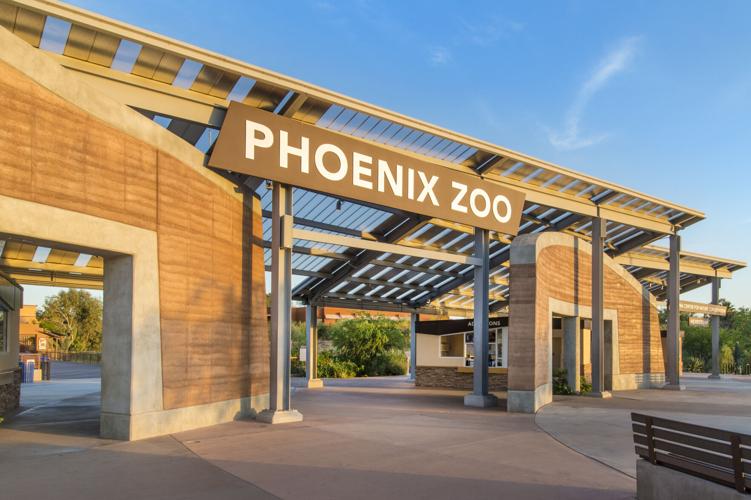 Phoenix Zoo plans endangered-animal conservation park that could bring safaris to Sahuarita