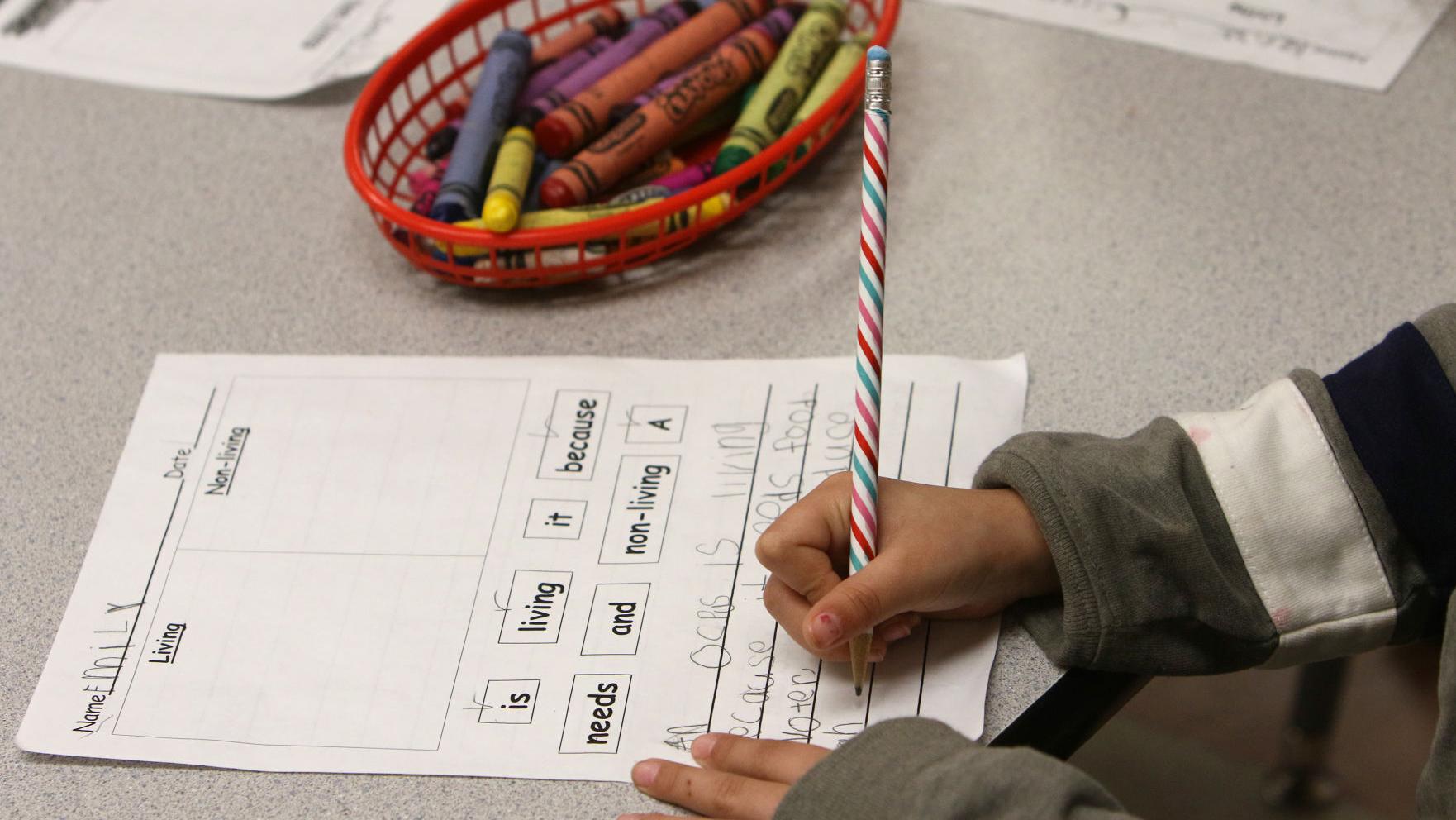 Arizona Public Schools Face Massive Budget Cuts Arizona Public Schools Face Massive Budget Cuts