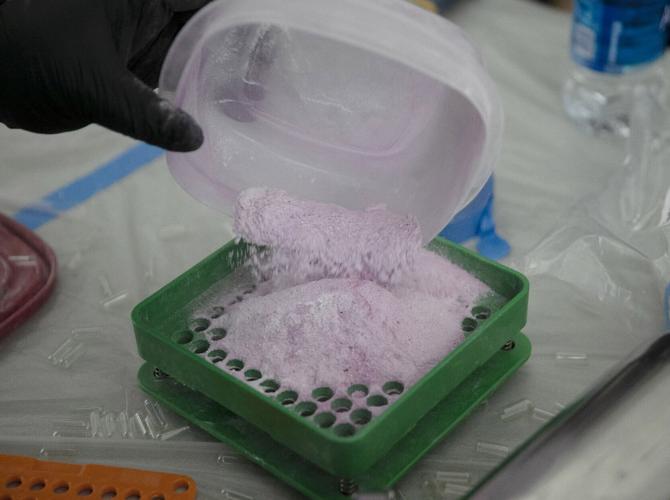 Capsules are made during a fentanyl mixing and testing training at the Alameda County Sheriff’ s Office in Dublin, California, on June 30, 2022.