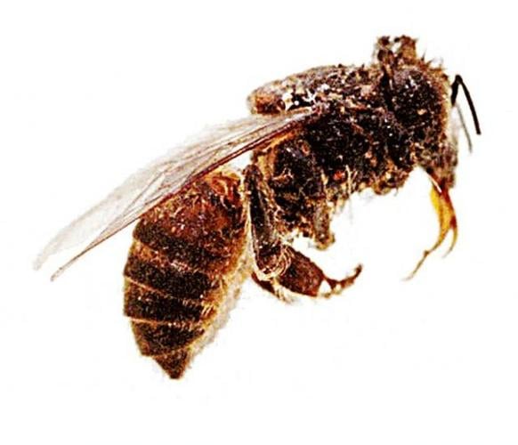 The frights of spring  