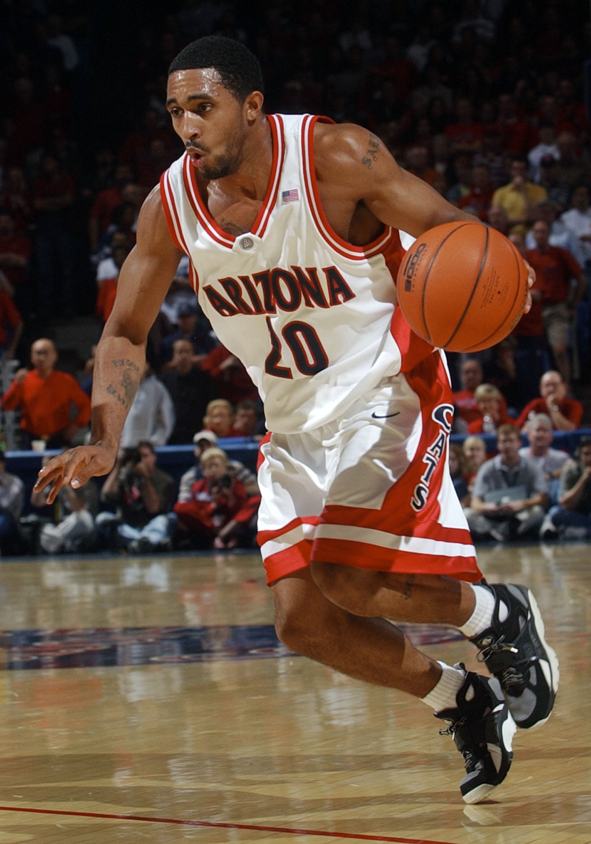 Salim Stoudamire