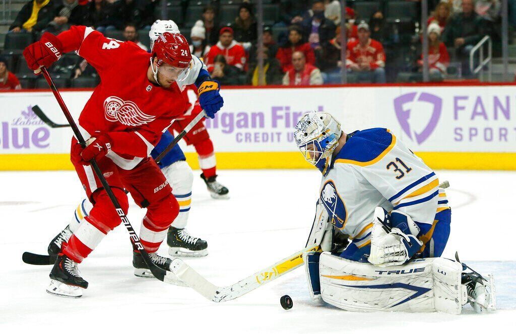 Sabres Red Wings Hockey