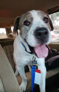 Lightning strike video