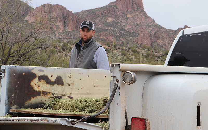 Arizona rancher uses science to raise healthy beef